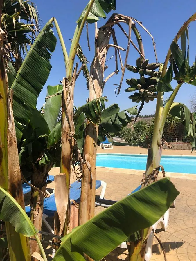 Finca Andalucia Кониль-де-ла-Фронтера